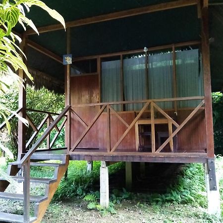 Inotawa Lodge Tambopata Kültér fotó